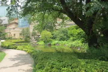 Take a stroll around the garden along the pathway