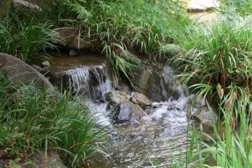 Tiny waterfalls spill over stones to run into the pond
