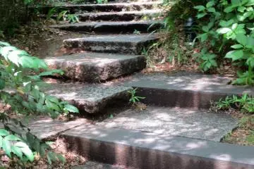 Stone steps lead away from the pond and further into the trees