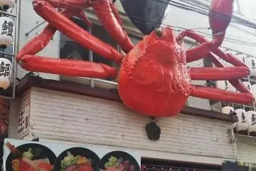 Well known Tsukiji crab.