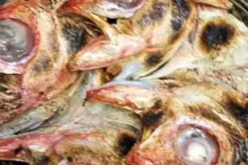 Fish Head.