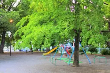 Gallery image
