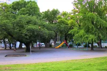 Gallery image