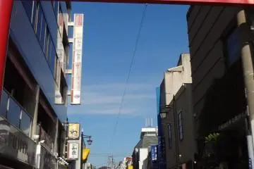 No one who visits Kamakura for the first time can resist passing through Komachi-dori Street. Komachi Street is a long, narrow shopping street that leads from Kamakura Station to very near Tsurugaoka Hachimangu shrine. There is a red shrine gate at the st