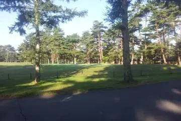 The view over the golf course