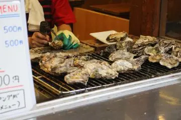 Hiroshima oysters
