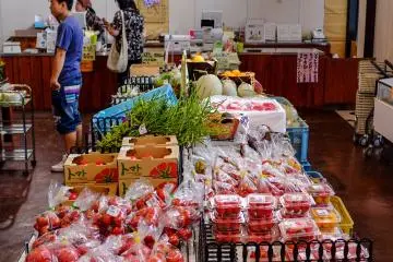 Sungreen sangat populer di antara warga lokal, kebanyakan pelanggannya adalah mereka yang mencari produk segar lokal.