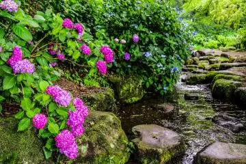 Gunma's Top Hydrangea Spots