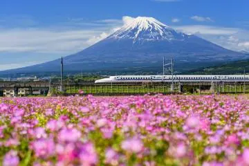 Travel by Train: New Discount Campaigns