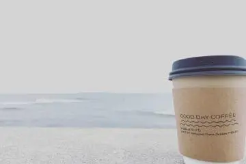 The cafe is a short walk to the seawall