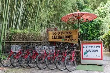 Take advantage of the campaign and find seldom seen wonders. (Photo: <a href="https://pixabay.com/photos/japan-bike-rentals-bamboo-forest-3717767/" target="_blank" rel="noreferrer noopener nofollow">Michelle_Raponi</a> / Public Domain)