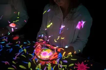 Photo: TeamLab