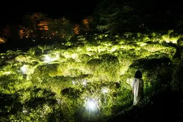 Photo: TeamLab