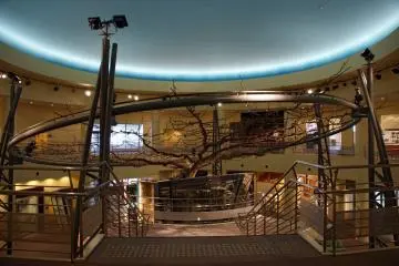 The main exhibition hall is home to this huge pear tree - it was the largest pear tree in the 20th Century in Japan