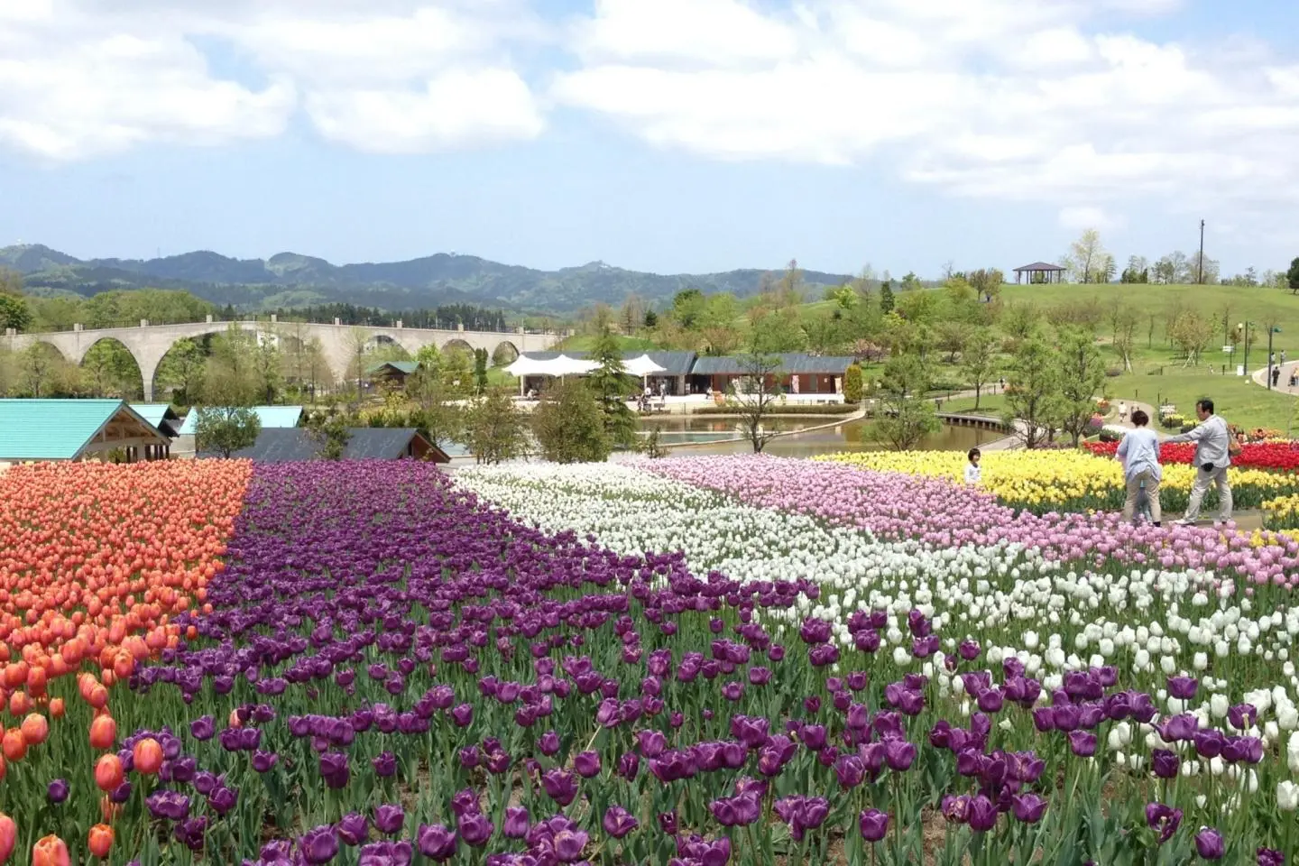 The colorful spring season at Echigo Hillside Park (Photo: uka0310 / CC BY-SA 2.0)