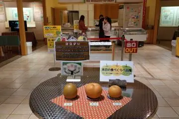Pears are able to be taste-tested at the Tottori Pear Museum (Photo: <a href="https://zh.m.wikipedia.org/wiki/File:Pear_Kitchen_Gallery_-_Tottori_Nijisseiki_Pear_Museum.jpg" target="_blank" rel="noreferrer noopener nofollow">Hsu Tzu-Hsun</a> / <a href="https://creativecommons.org/licenses/by-sa/4.0/deed.en" target="_blank" rel="noreferrer noopener nofollow">CC BY-SA 4.0</a>)