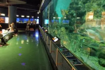 The 200 Tonne central tank at Hekinan Aquarium (Photo: Aichi Prefecture)