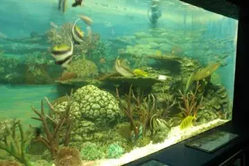 Over 300 species are on display.. (Photo: Aichi Prefecture)
