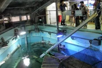 Staff check the main tank. (Photo: Aichi Prefecture)