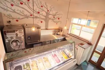 The beautiful wall mural, with the Cattabriga gelato machine in the back corner