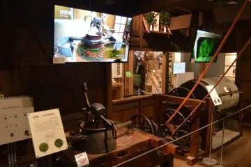 The museum is a real education in all things tea (Photo: <a href="https://commons.wikimedia.org/wiki/File:Tea_Museum,_Shizuoka_ac_(3).jpg" target="_blank" rel="noreferrer noopener nofollow">Asturio Cantabrio / CC By SA 4.0</a>)