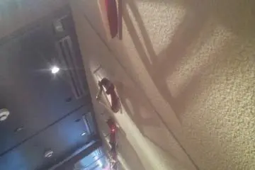 가게 한편에 마련된 옷걸이.