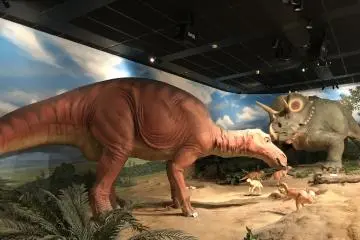 Fun at the Niigata Science Museum