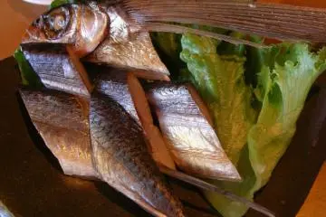 Tobiuo