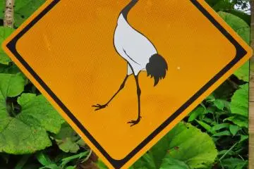 Crane Crossing Road Sign