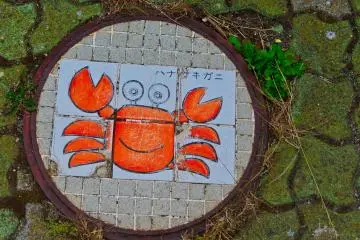 Manhole Cover Nemuro