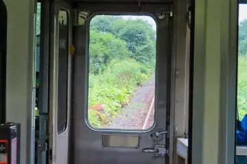 Stopping while some deer cross the tracks