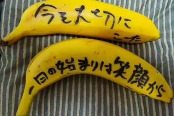 Bananas with encouraging messages from Kushiro Shokudo