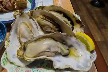 Steamed Oysters