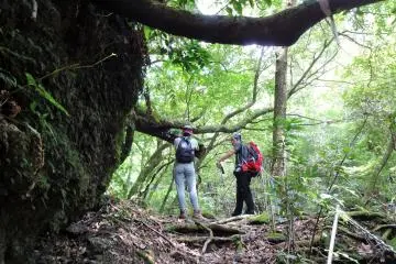 Enjoy your hike carefree with a local guide. 