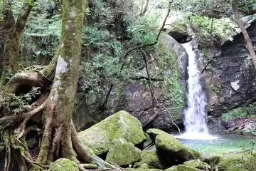 One of the larger waterfalls in the area. 