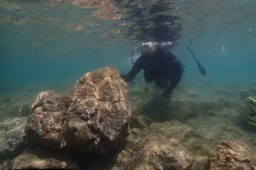 Sinking down and holding on to rocks is the first move. 