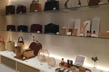 Bamboo fashion
