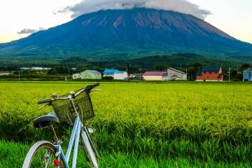 I think the best way to enjoy the views of Mt Yotei is by bycycle