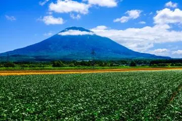 The Kutchan farmlans along Route 343 are also a nice quiet place to enjoy the vista