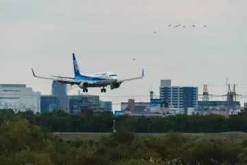 Coming in to land