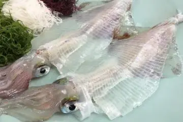Regional Cuisine - Saga