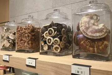 Natural museum at the Nihondo Kampo Boutique