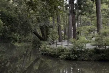 Forest surrounding the Geku