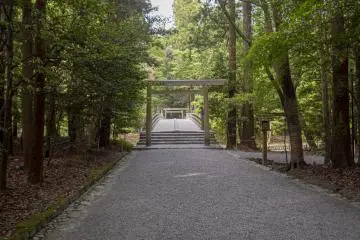 Naiku Forest