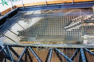 A shot from above