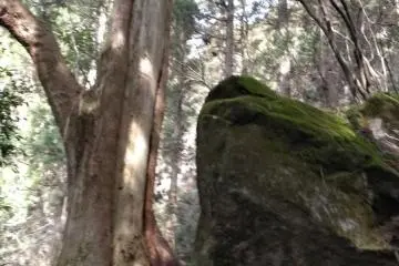 Don't let the boulders get you down 