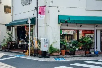 Tori Tori