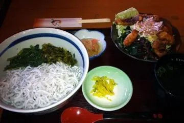 Octopus tempura salad