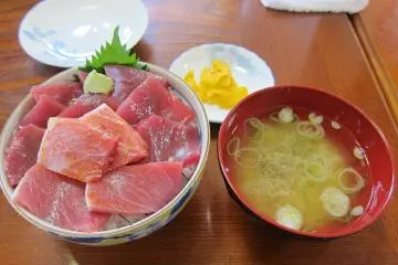 Maguro-don