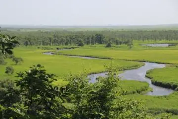 Vue du marais de Kushiro